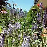 Gsenger In By Interhome Διαμέρισμα Abtenau