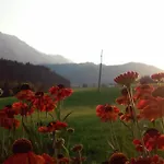 Gsenger In By Interhome Διαμέρισμα Abtenau