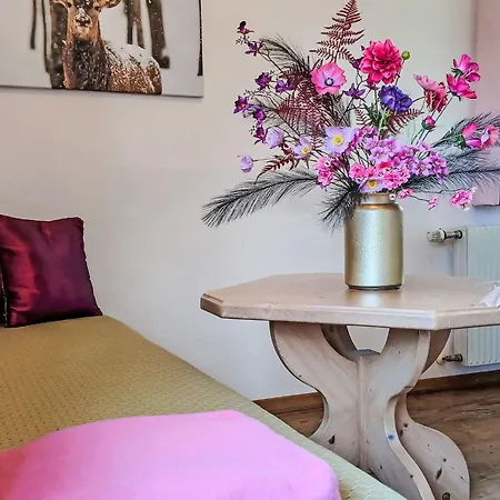 Apartment Gsenger In By Interhome *