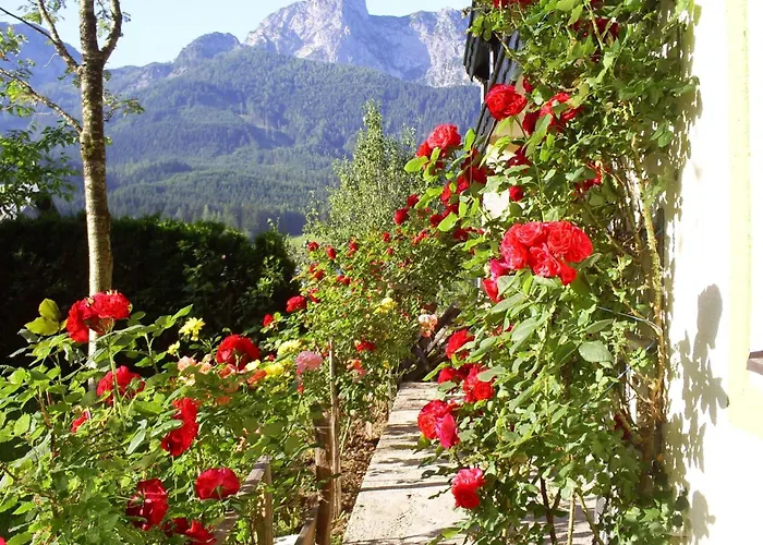 Gsenger In Abtenau By Interhome *