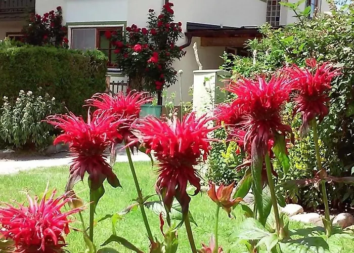 Apartment Gsenger In Abtenau By Interhome *