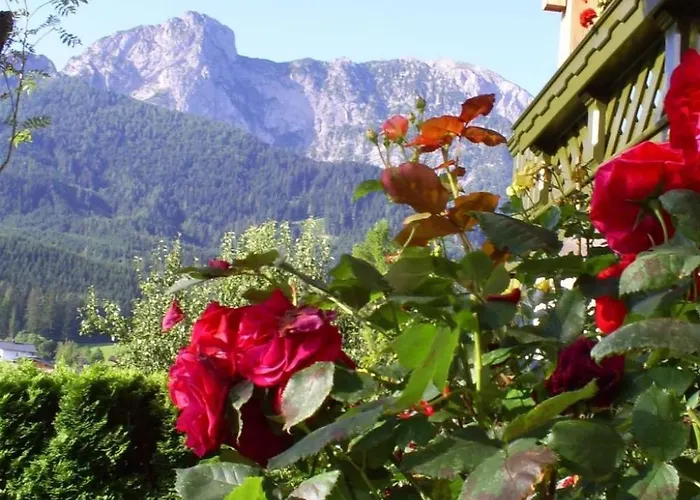 Gsenger In Abtenau By Interhome Apartment Abtenau