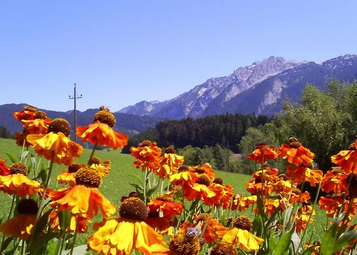 Apartment Gsenger In Abtenau By Interhome Abtenau