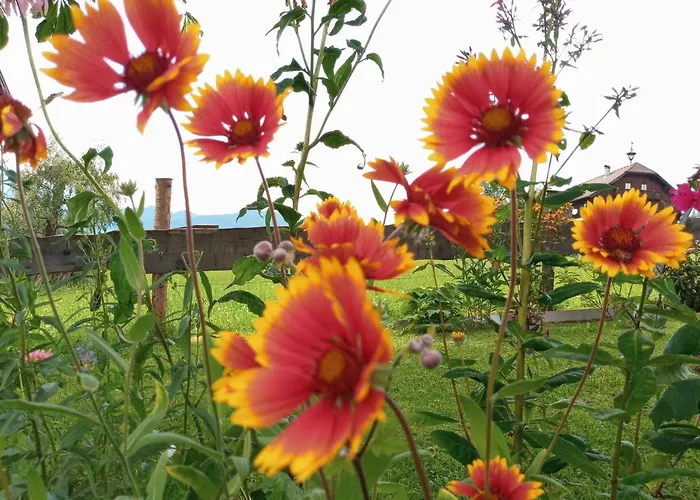 דירה Gsenger In Abtenau By Interhome