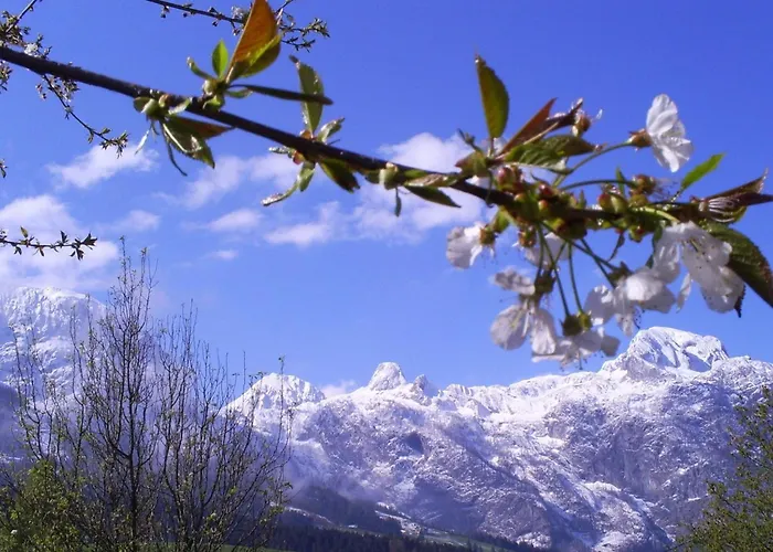 דירה Gsenger In Abtenau By Interhome *