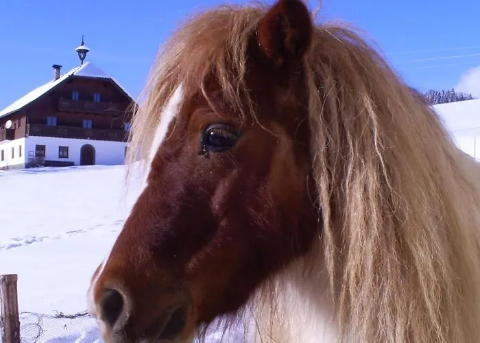 Gsenger In Abtenau By Interhome דירה